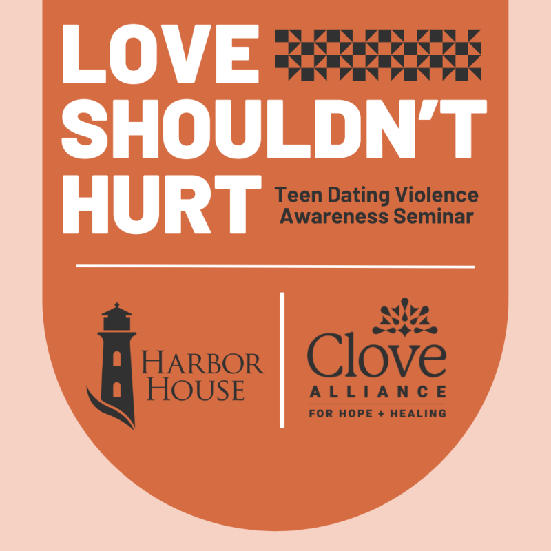 b_800_0_16777215_00_images_Love_Shouldnt_Hurt_TDV_Seminar_Web_021026.png