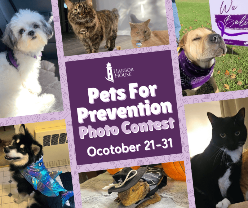 b_800_0_16777215_00_images_Pets_For_Prevention_Facebook_1025_1.png